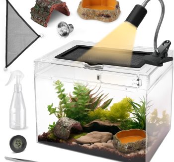 gecko terrarium tank