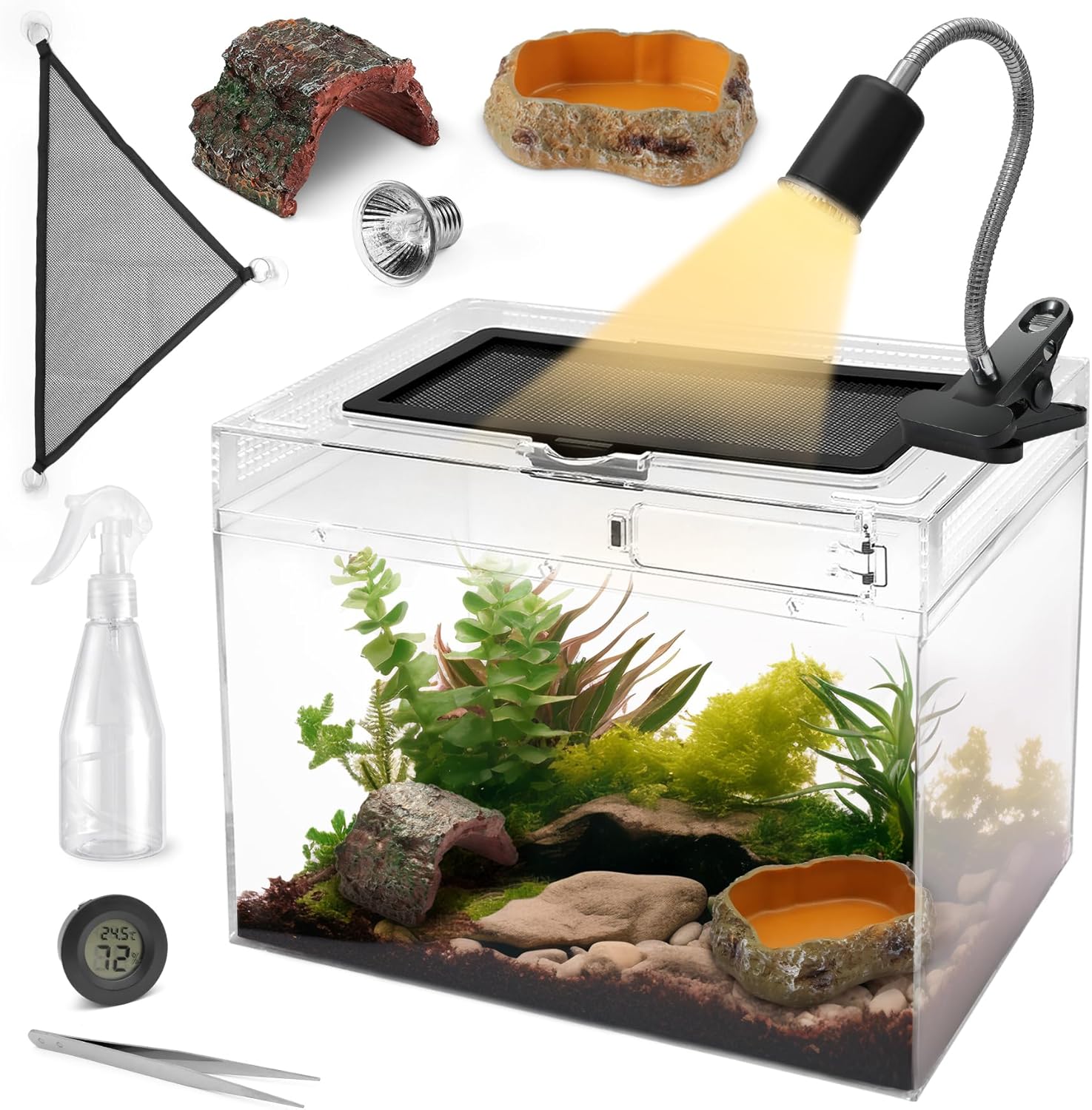 gecko terrarium tank