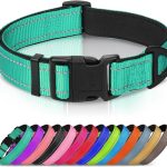 reflective dog collar