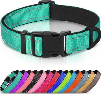 reflective dog collar