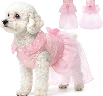 small dog clothes fashion