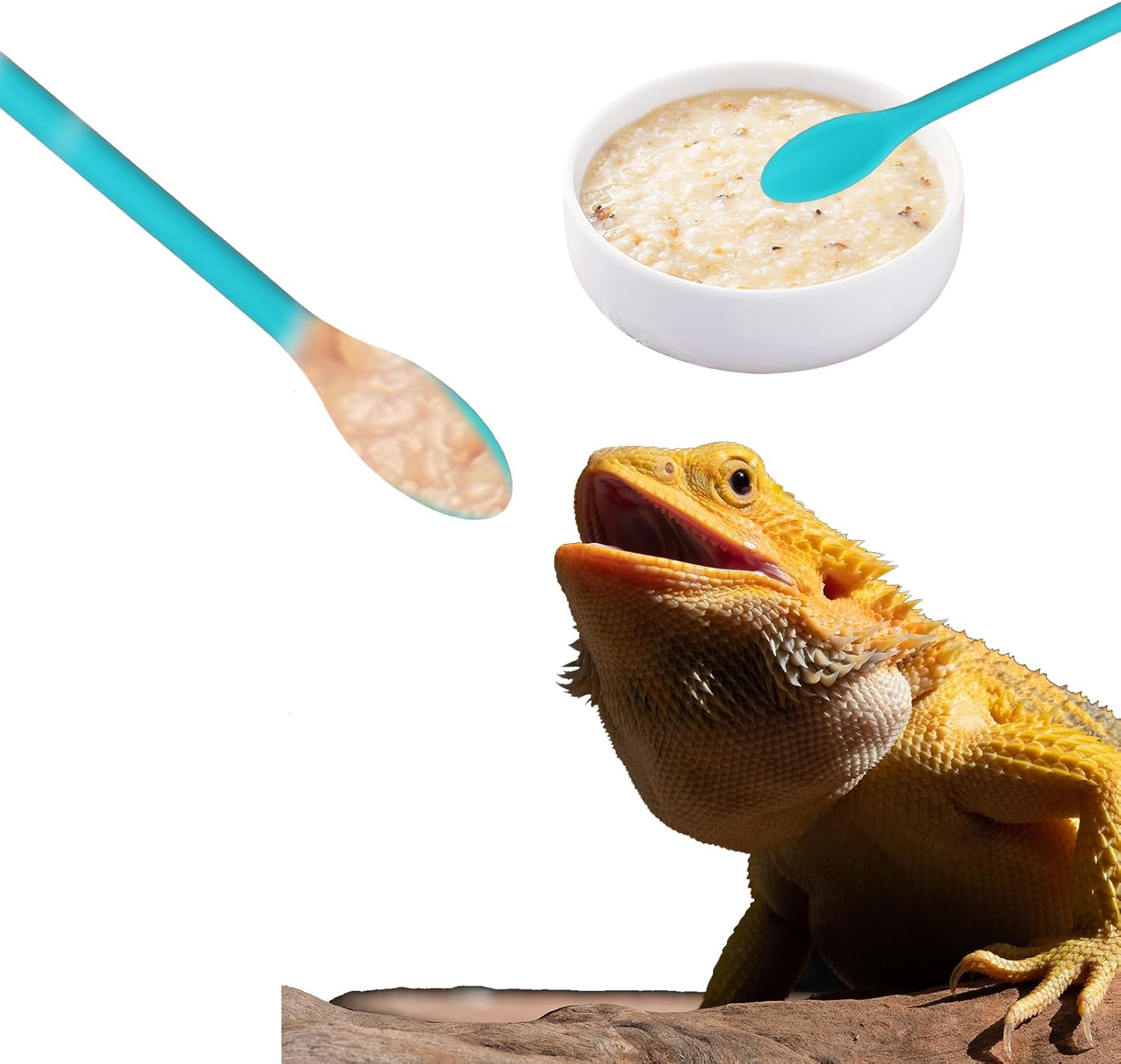 4 Pcs Reptile Spoon, Crested Gecko Food Mixing Spoon Crested Gecko Accessories Long Handle Feeding Tool fit Lizard Gargoyle Bearded Dragon - Happypetzone.online - Image 6