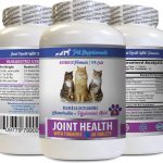 cat joint supplement