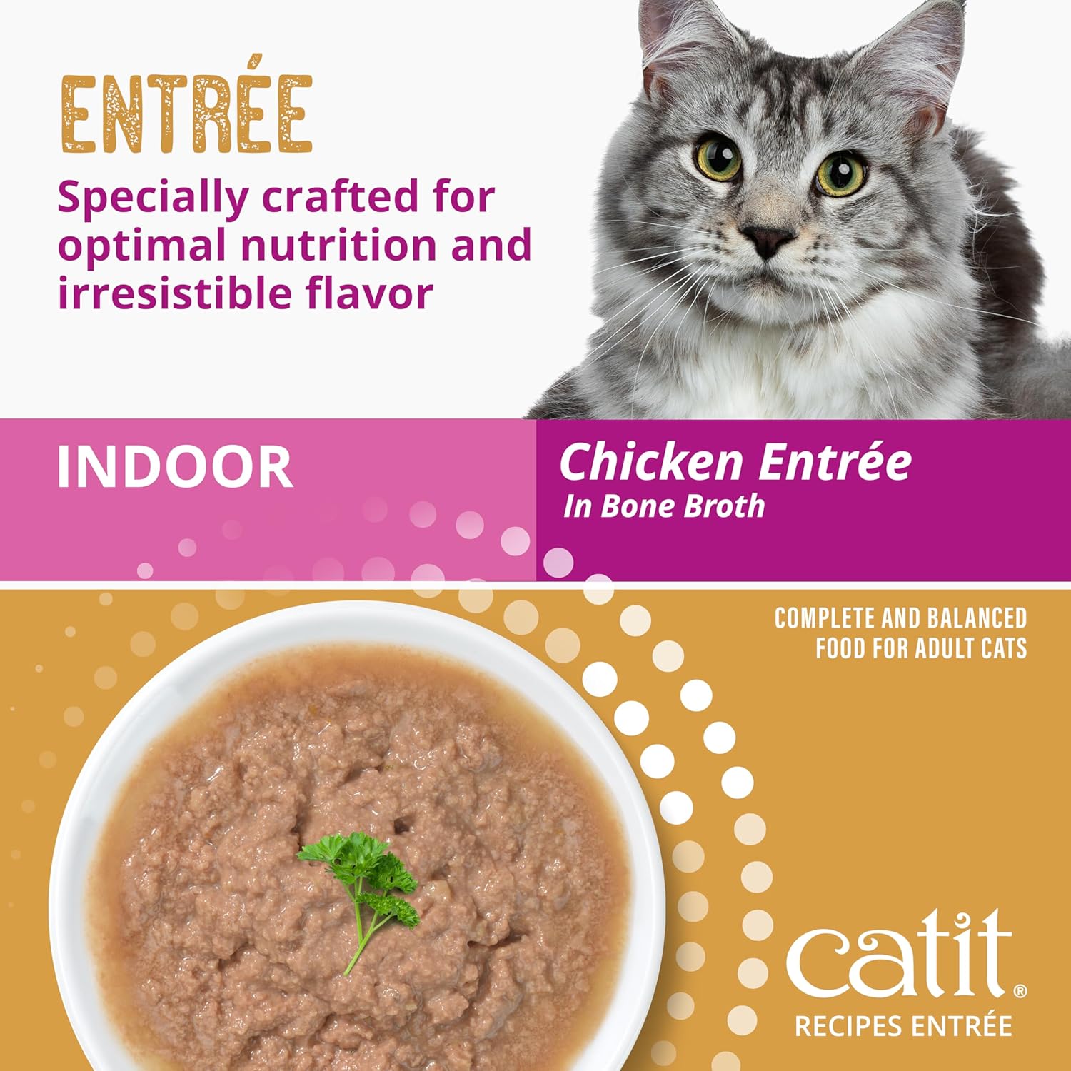 Catit Recipes Indoor Chicken Entrée – High-Protein Wet Cat Food with L-Carnitine, Bone Broth for Hydration, Omega-3 for Skin & Coat, and Prebiotics & Postbiotics for Gut Health 3oz (12/cs) - Happypetzone.online - Image 5