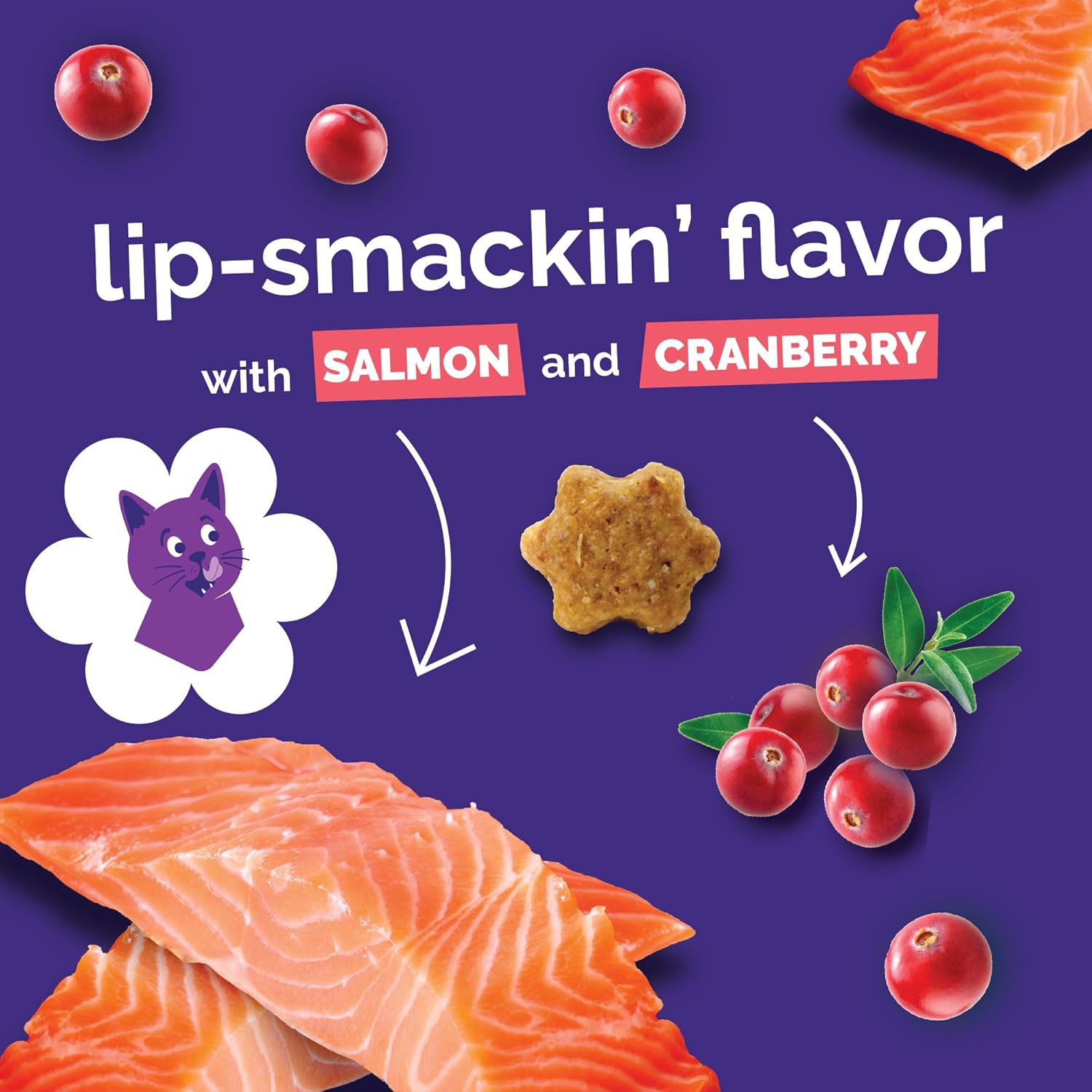 Fruitables Cat Treats - Crunchy Treats for Cats - Healthy Low Calories Packed with Protein - Free of Wheat, Corn and Soy - Made with Real Salmon, Tuna, Chicken - 2.5 Oz (3 Pk) - Happypetzone.online - Image 6
