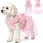 small dog clothes fashion
