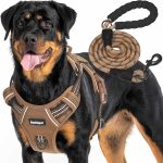 dog harness for large dogs