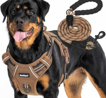 dog harness for large dogs