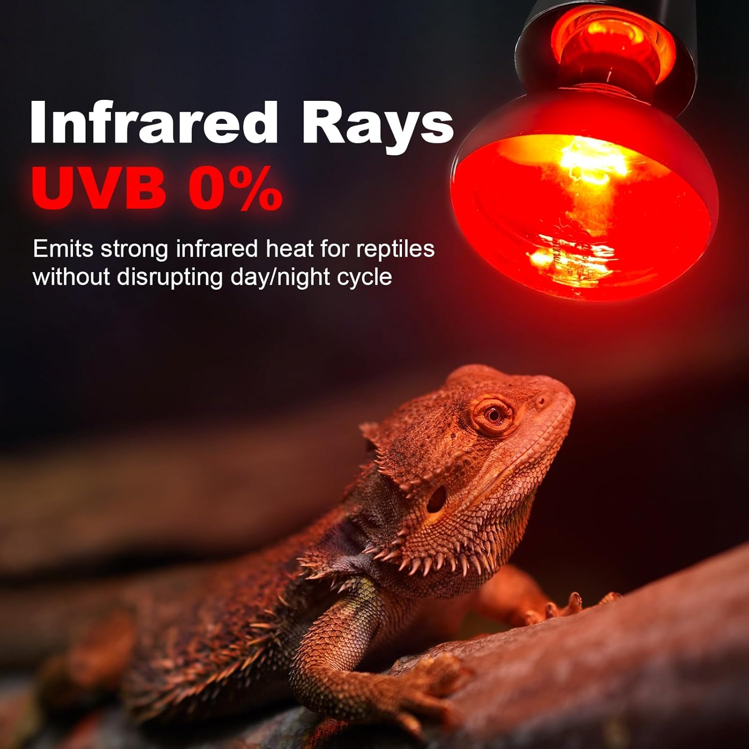 MIXJOY 150W Infrared Heat Lamp Bulbs, 2 Pack Reptile Infrared Heat Emitter Red Heat Lamp Bulbs Basking Light Bulbs for Reptiles, Bearded Dragon, Lizard, Tortoise, Chickens, Pets - Happypetzone.online - Image 2
