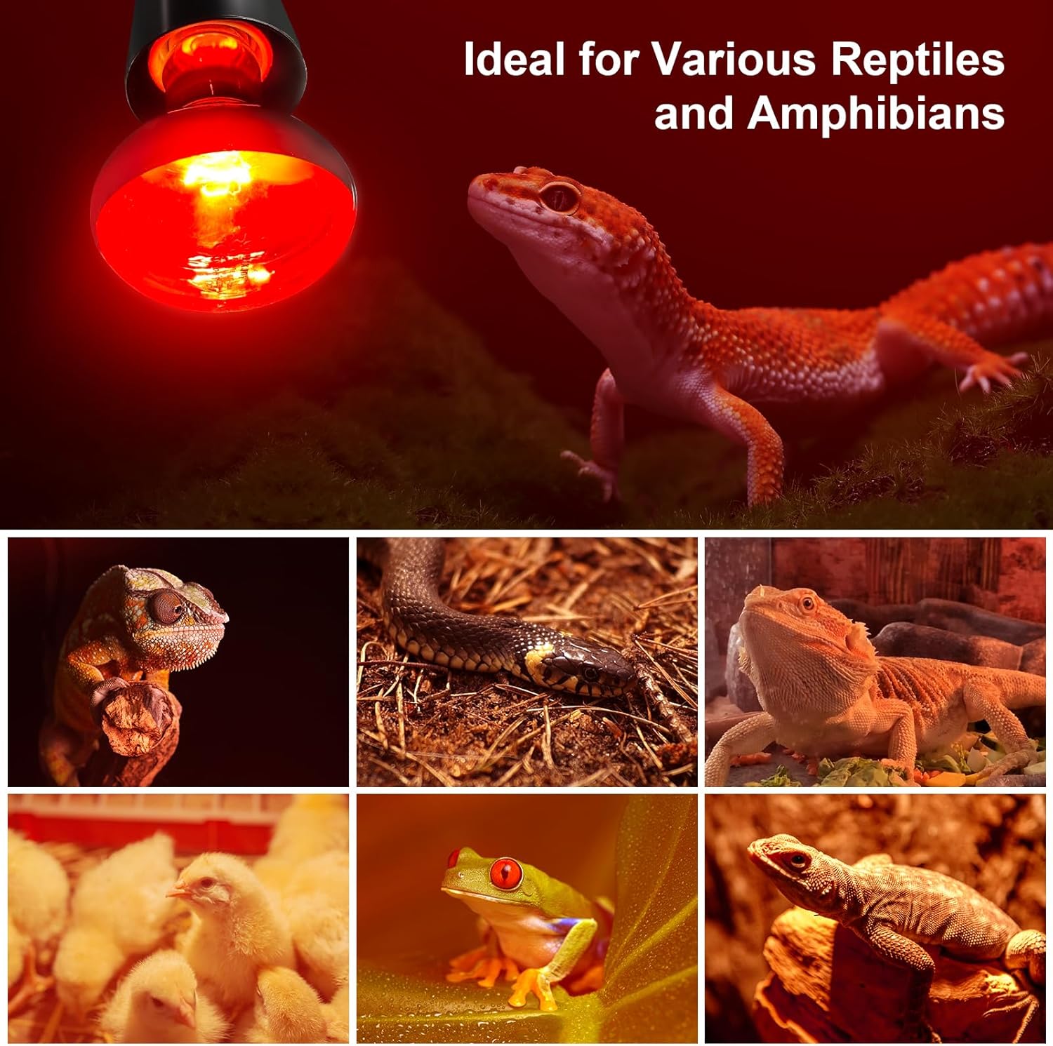 MIXJOY 150W Infrared Heat Lamp Bulbs, 2 Pack Reptile Infrared Heat Emitter Red Heat Lamp Bulbs Basking Light Bulbs for Reptiles, Bearded Dragon, Lizard, Tortoise, Chickens, Pets - Happypetzone.online - Image 7