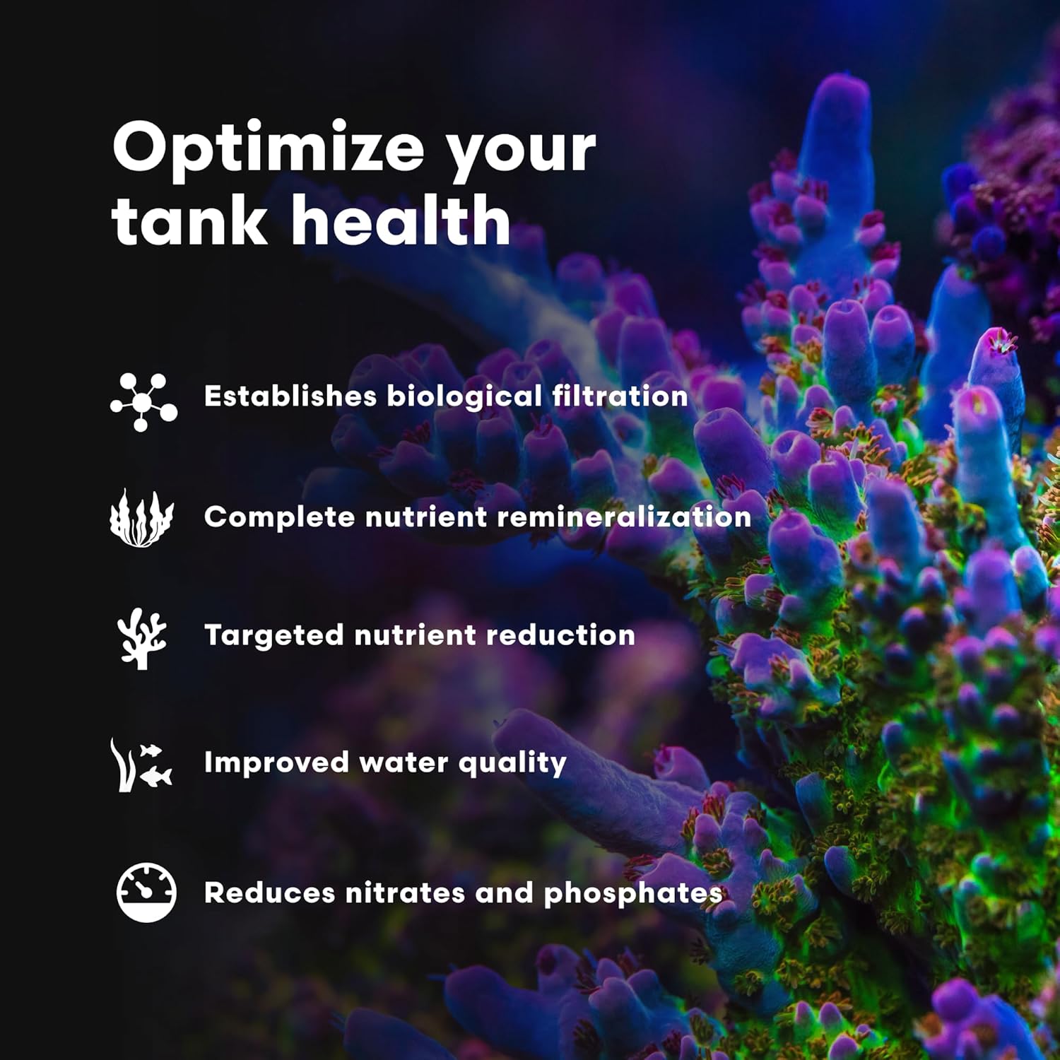 Brightwell Aquatics MicroBacter7 Complete Bioculture for Fish Tank or Aquarium - Populates Biological Filter Media for Saltwater and Freshwater Fish - Aquarium Water Treatments, 16.9 fl oz - Happypetzone.online - Image 4