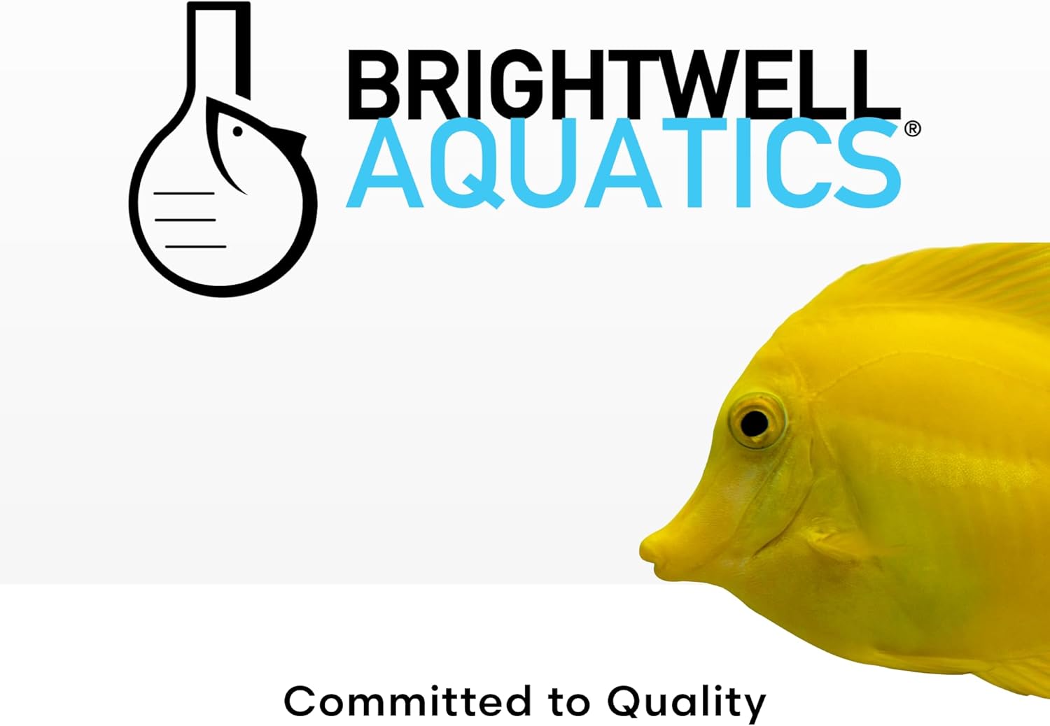 Brightwell Aquatics MicroBacter7 Complete Bioculture for Fish Tank or Aquarium - Populates Biological Filter Media for Saltwater and Freshwater Fish - Aquarium Water Treatments, 16.9 fl oz - Happypetzone.online - Image 7