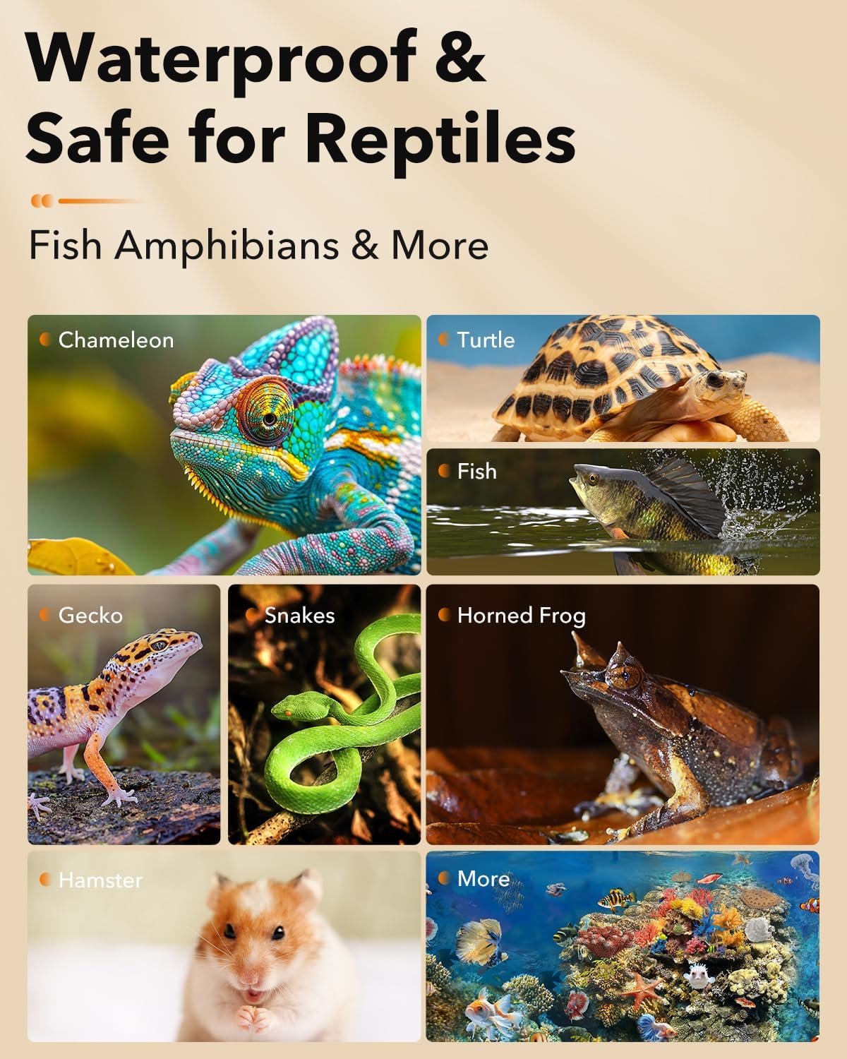 BN-LINK Reptile Heat Pad 8"X12" 16W for 30-40gal Under Tank Terrarium Heating Mat Waterproof for Turtle, Lizard, Frogs, Snake, Hermit Crab - Happypetzone.online - Image 3
