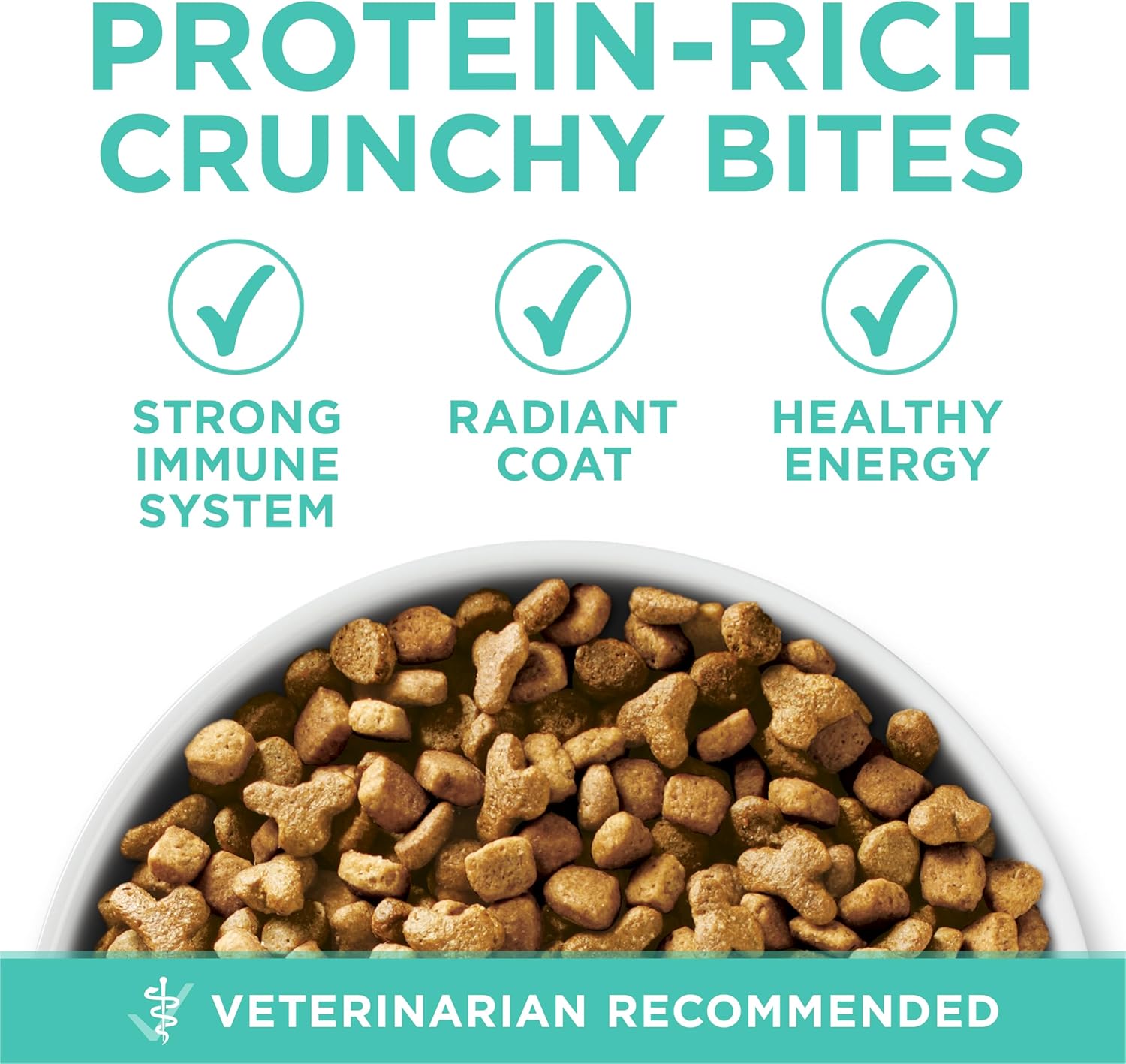 Purina ONE Sensitive Stomach, Sensitive Skin, Natural Dry Cat Food, +Plus Sensitive Skin and Stomach Formula - 7 lb. Bag - Happypetzone.online - Image 6