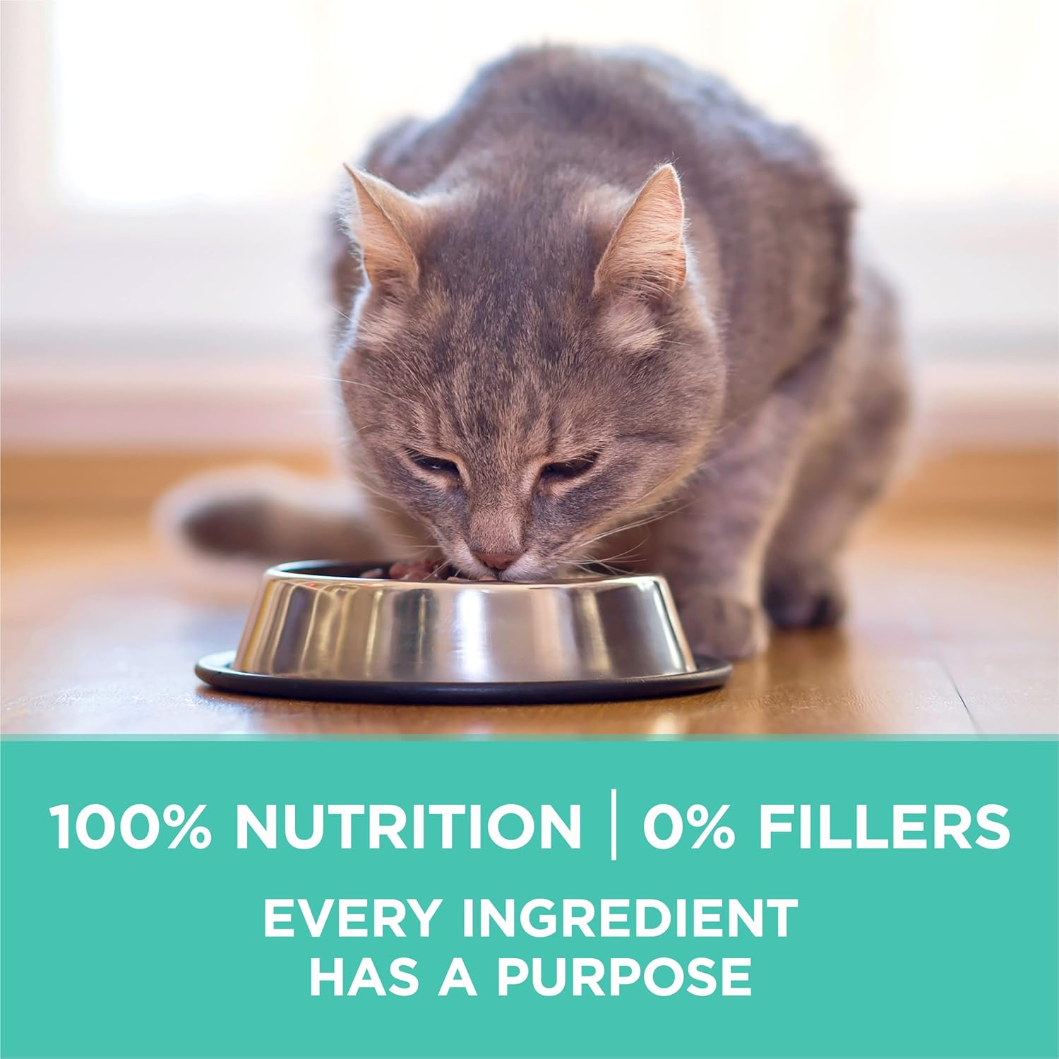 Purina ONE Sensitive Stomach, Sensitive Skin, Natural Dry Cat Food, +Plus Sensitive Skin and Stomach Formula - 7 lb. Bag - Happypetzone.online - Image 7