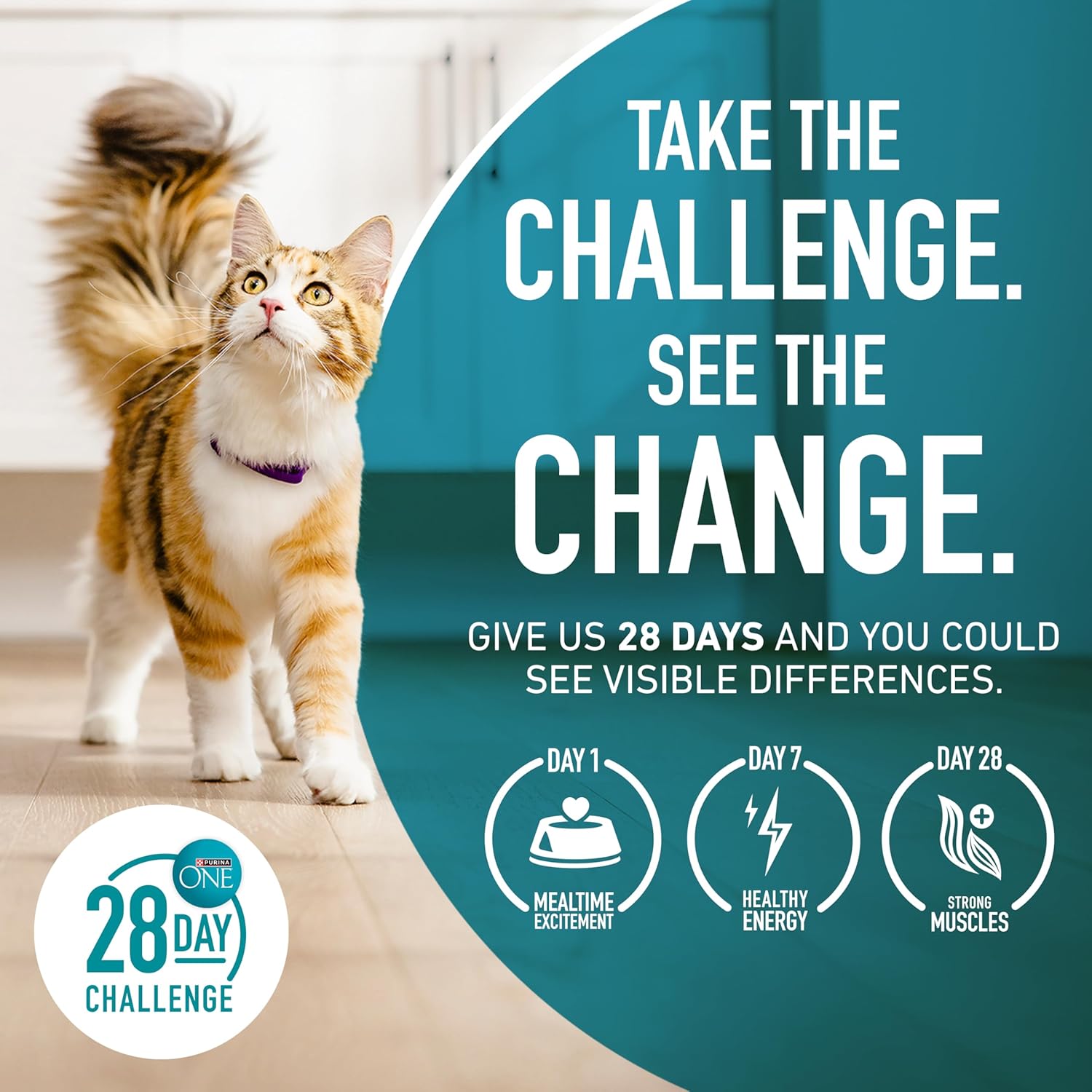 Purina ONE Sensitive Stomach, Sensitive Skin, Natural Dry Cat Food, +Plus Sensitive Skin and Stomach Formula - 7 lb. Bag - Happypetzone.online - Image 11
