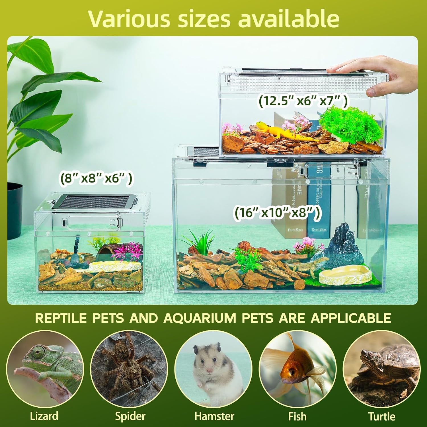 16×10×8'' Reptile Tank Kit with Heat Lamp, Spray Bottle, Shovel, Tweezers, Food Bowl, Hideout -Perfect for Geckos, Bearded Dragons, Snakes, Lizards, Turtles 360° Viewing, PC Glass - Happypetzone.online - Image 6