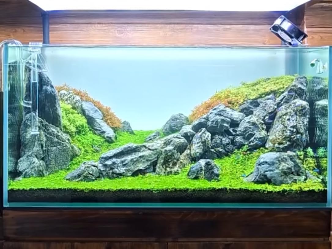 Natural Rocks Seiryu Stones Aquariums Stones for Aquascaping, Aquariums, Terrariums, Vivariums Decorative Stone,Reptile Enclosures,Paludariums,and Gardens-10lb(2 to 7 inch) - Happypetzone.online - Image 9