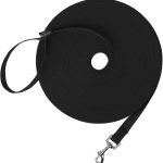dog leash training