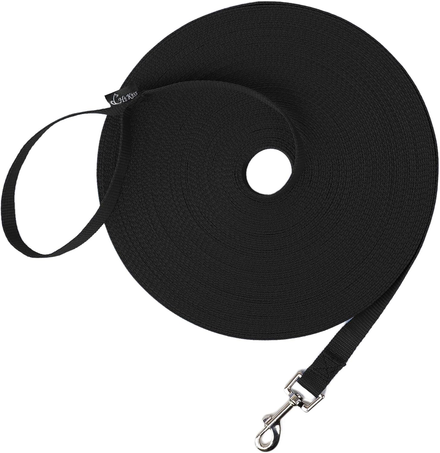 dog leash training