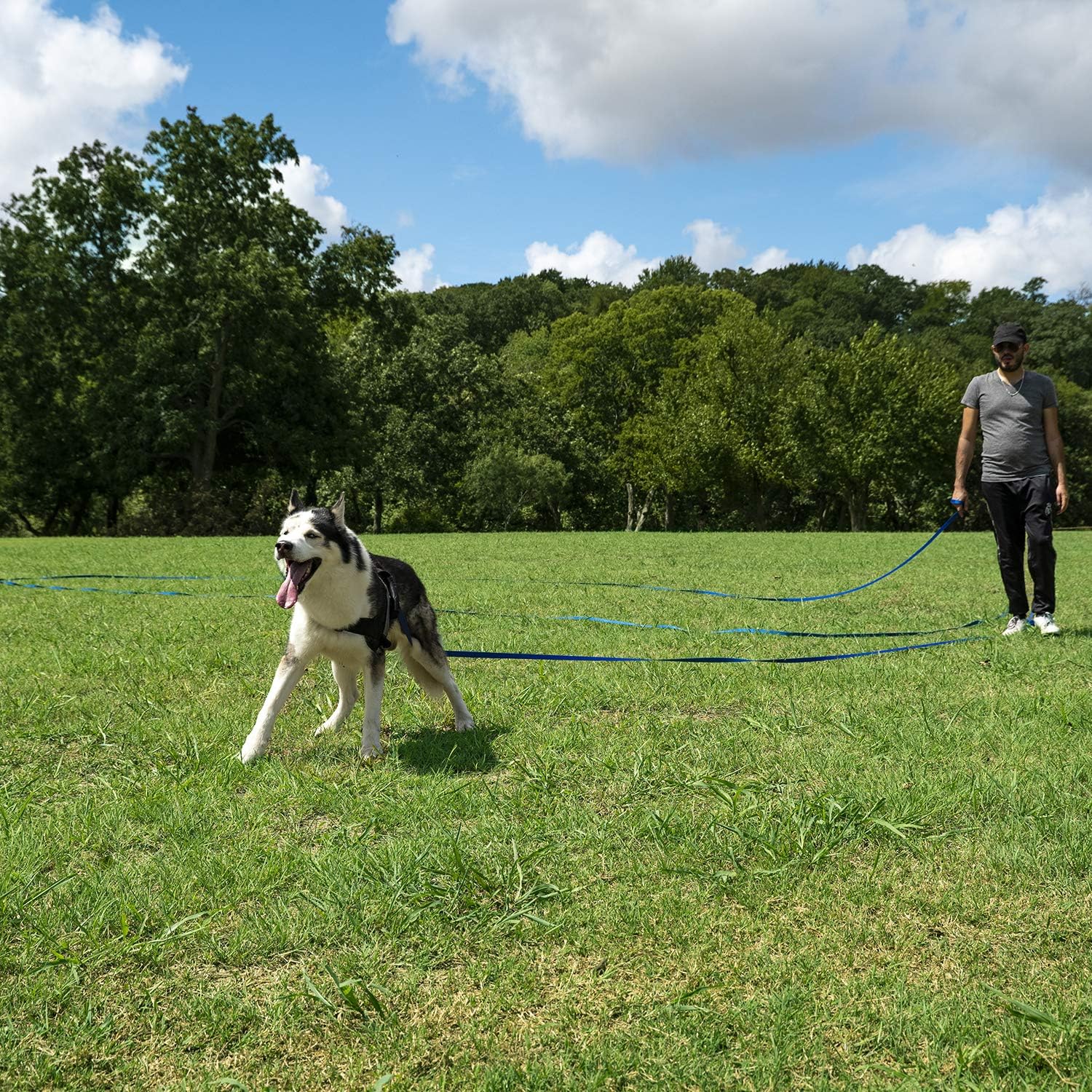 Hi Kiss Dog/Puppy Obedience Recall Training Agility Lead - 15ft 20ft 30ft 50ft 100ft Training Leash - Great for Play, Camping, or Backyard - Black 20ft - Happypetzone.online - Image 6
