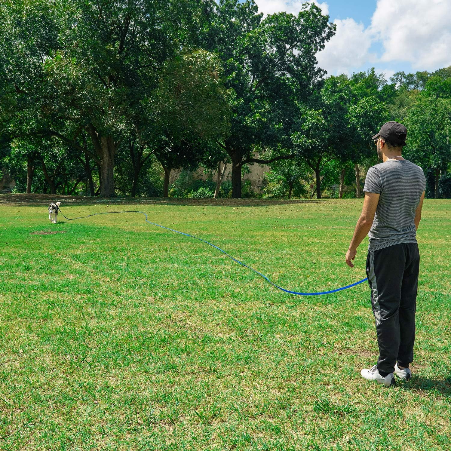 Hi Kiss Dog/Puppy Obedience Recall Training Agility Lead - 15ft 20ft 30ft 50ft 100ft Training Leash - Great for Play, Camping, or Backyard - Black 20ft - Happypetzone.online - Image 7