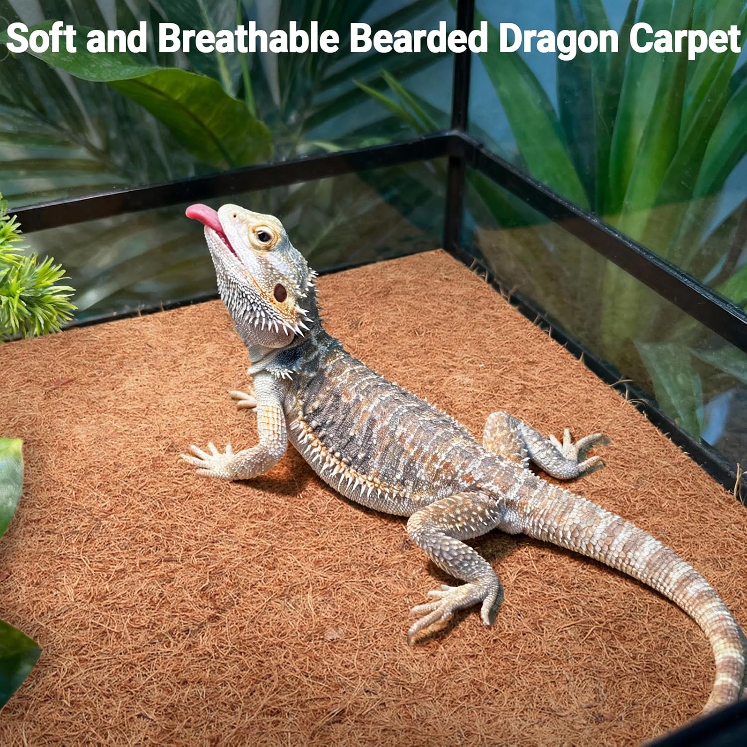ZeeDix 3 Rolls Reptile Carpet, 24 x 48 inches Natural Coconut Fiber Liner Mat Flooring Accessories for Reptile Tank - Bearded Dragon Tortoise Lizard Turtle Snake Leopard Gecko Substrate Bedding - Happypetzone.online - Image 7