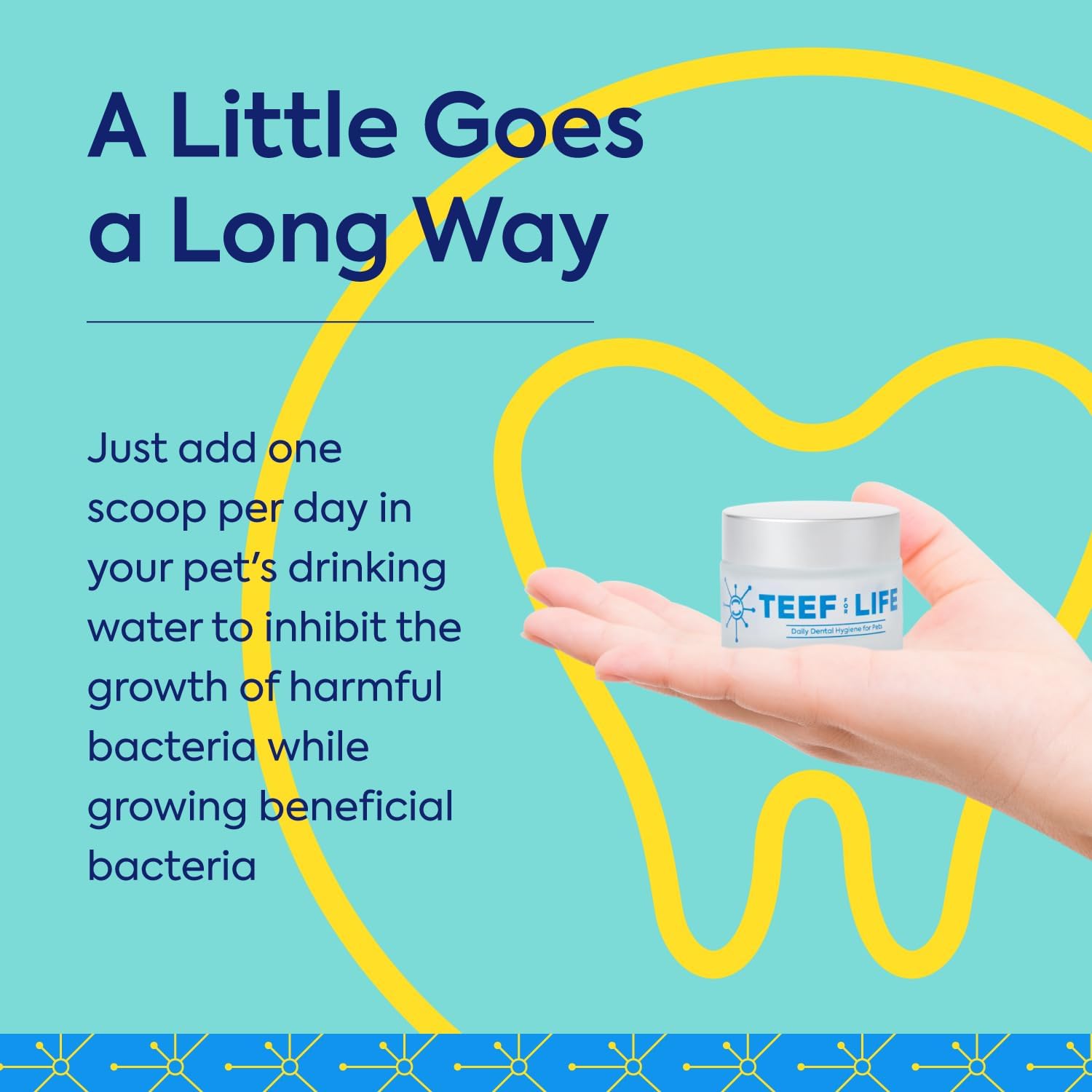 Teef For Life Protektin42+K Plant-Derived Daily Dental Care for All Pets (Sodium-Free), Prebiotic Dental Powder, Naturally Fights Plaque and Tartar, Kit with 90 Servings - Happypetzone.online - Image 6