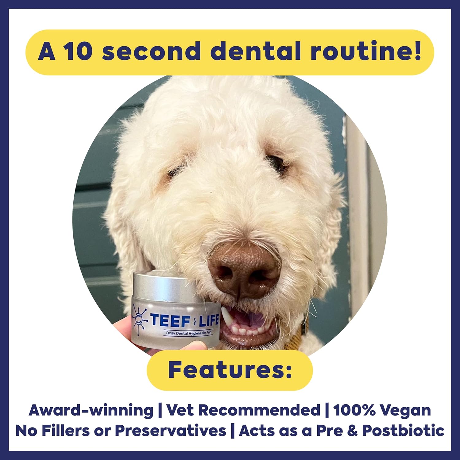 Teef For Life Protektin42+K Plant-Derived Daily Dental Care for All Pets (Sodium-Free), Prebiotic Dental Powder, Naturally Fights Plaque and Tartar, Kit with 90 Servings - Happypetzone.online - Image 8