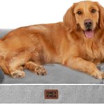 best dog beds