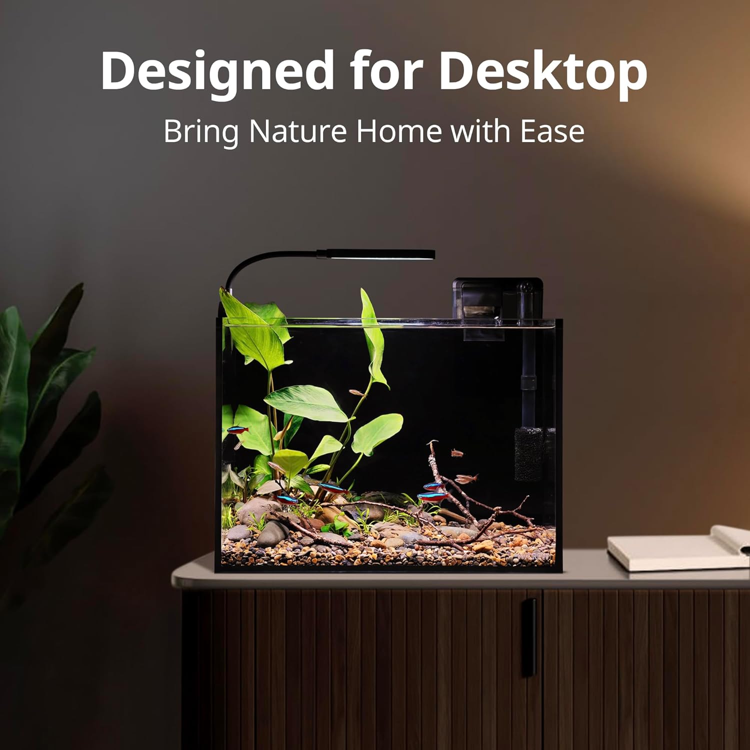NICREW 2.5 Gallon Nano Nature Aquarium Kit, Ultra-Clear Rimless Desktop Fish Tank with Light, Filter, Gravel and Rock, Perfect for Small Fish, Shrimp, or Betta, Complete Version, Black - Happypetzone.online - Image 2