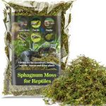reptile habitat accessories