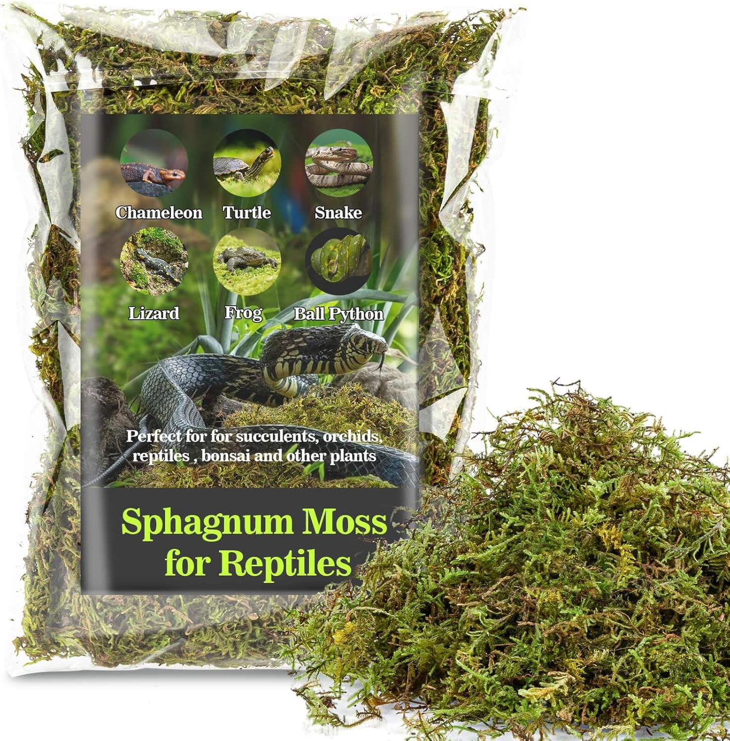 reptile habitat accessories
