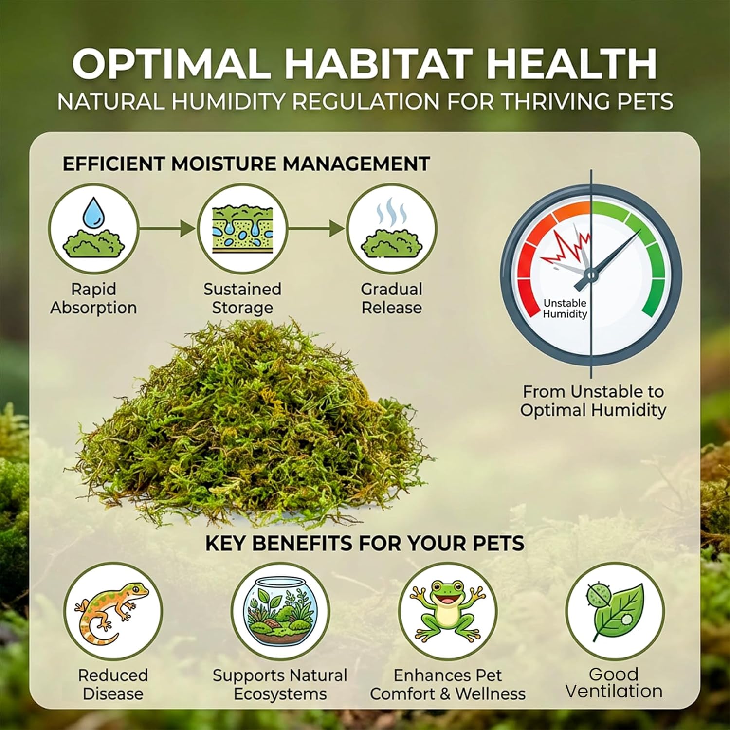 Sukh Sphagnum Moss for Reptiles - Terrarium Reptiles Moss Green Dried Peat Moss Habitat Bedding Moss for Snakes Turtle Frog Gecko and Other Reptiles Substrate (5, Ounces) - Happypetzone.online - Image 3