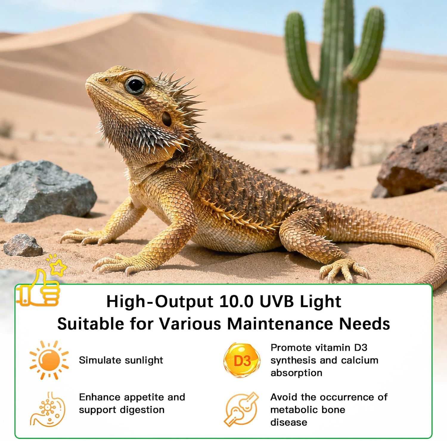 T8 UVB Reptile Light Fixture HO UVB Bulb Lighting Combo Kit, 10.0 UVB Light for Reptiles Terrarium Hood UVA UVB Desert Lamp for Bearded Dragon Turtle Tank (T8 20W 24Inch) - Happypetzone.online - Image 2