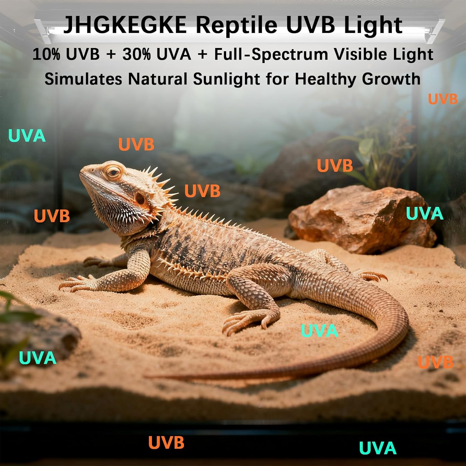 T8 UVB Reptile Light Fixture HO UVB Bulb Lighting Combo Kit, 10.0 UVB Light for Reptiles Terrarium Hood UVA UVB Desert Lamp for Bearded Dragon Turtle Tank (T8 20W 24Inch) - Happypetzone.online - Image 3