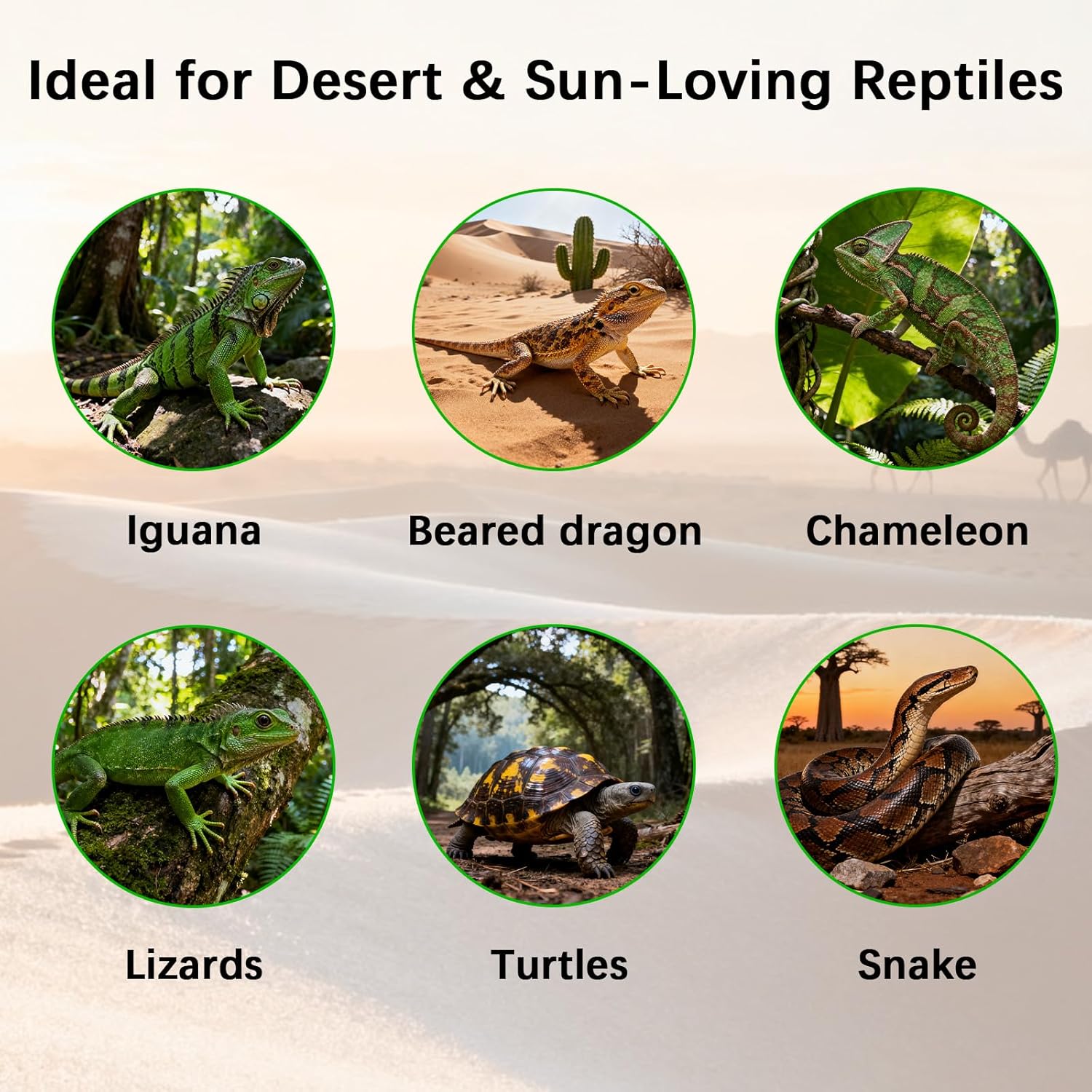 T8 UVB Reptile Light Fixture HO UVB Bulb Lighting Combo Kit, 10.0 UVB Light for Reptiles Terrarium Hood UVA UVB Desert Lamp for Bearded Dragon Turtle Tank (T8 20W 24Inch) - Happypetzone.online - Image 5