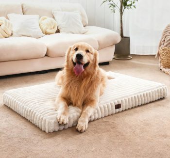 dog crate bed soft
