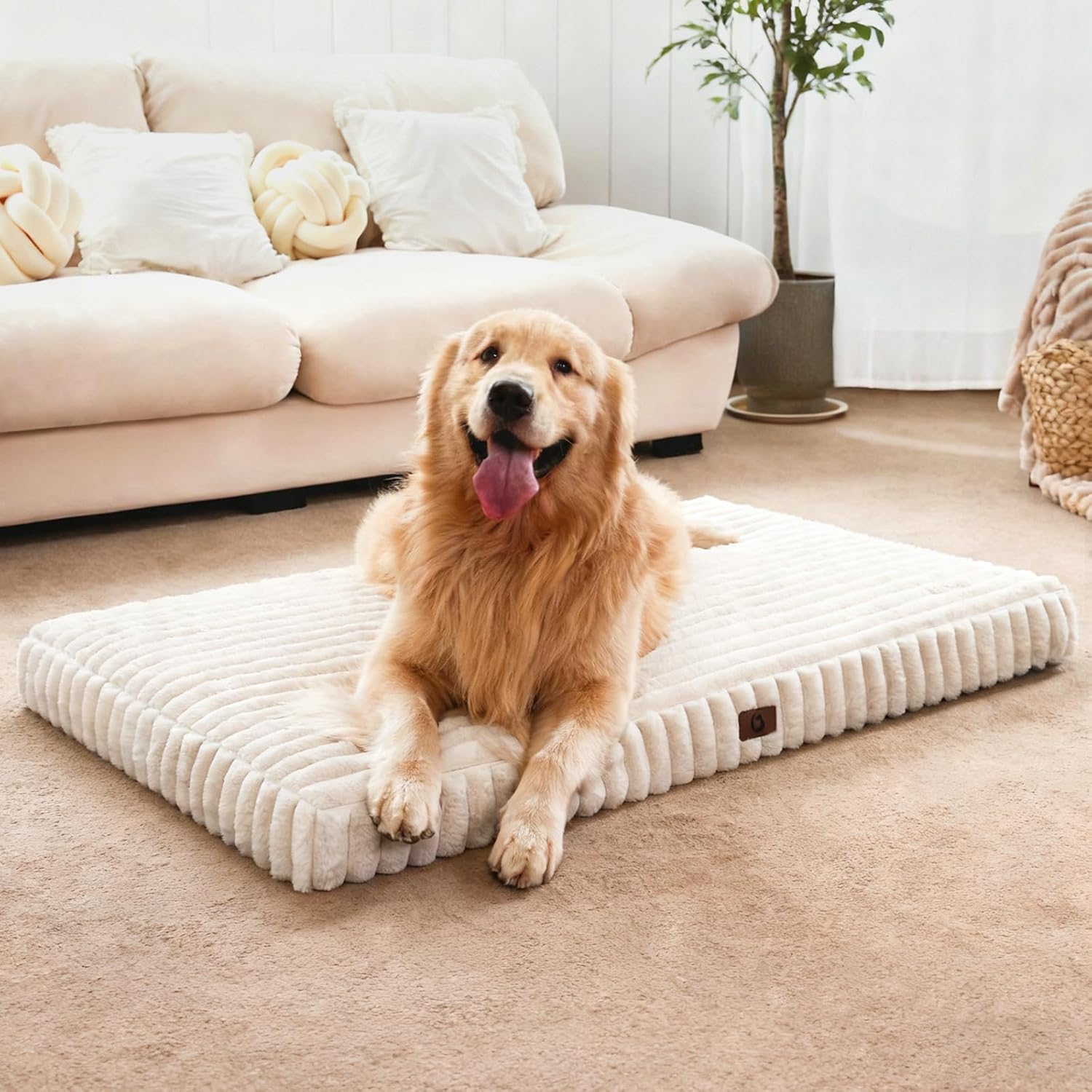dog crate bed soft