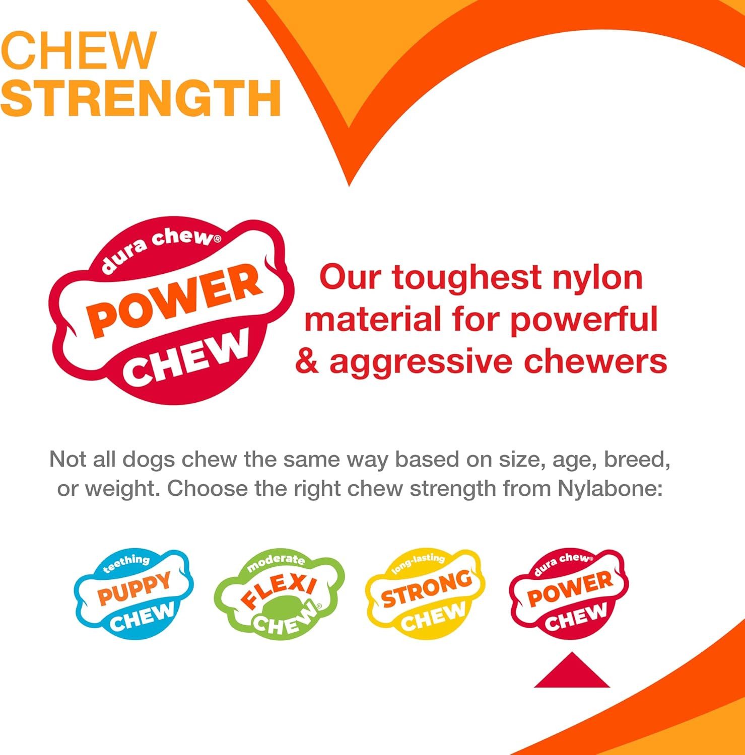 Nylabone Lobster Power Chew Toy for Dogs, Dog Toys for Aggressive Chewers, Filet Mignon Flavor, X-Large Dogs - 50+ lbs, 1 Count - Happypetzone.online - Image 8
