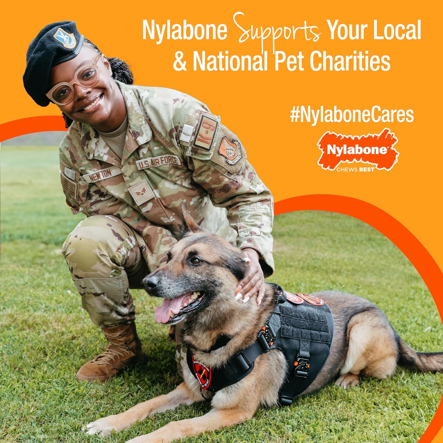 Nylabone Lobster Power Chew Toy for Dogs, Dog Toys for Aggressive Chewers, Filet Mignon Flavor, X-Large Dogs - 50+ lbs, 1 Count - Happypetzone.online - Image 13