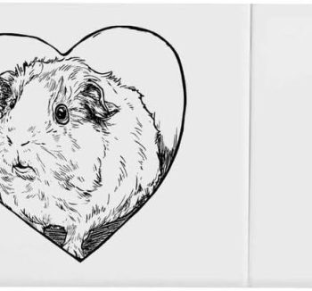 guinea pig vitamins supplement