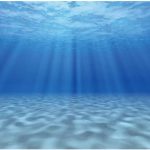 fish tank background decor