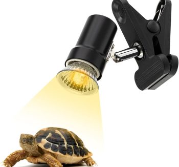 reptile heating lamp