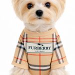 dog apparel luxury