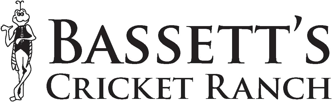BASSETT'S CRICKET RANCH 500 Large (1") Banded Crickets - Happypetzone.online - Image 2