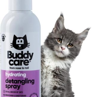 best cat grooming tools