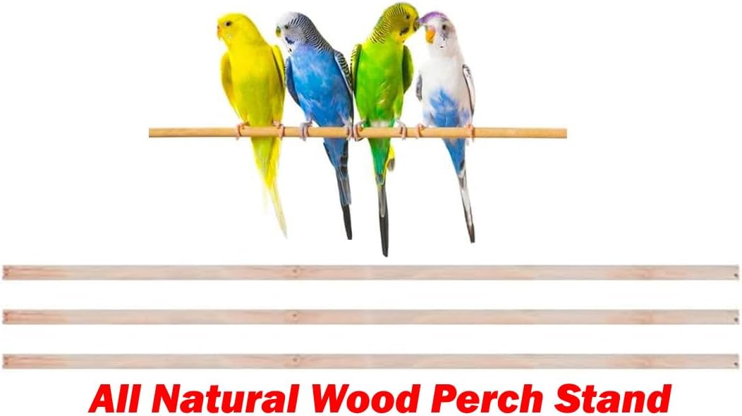 38-Inch Double Roof Top Large Flight Bird Cage with Toys Climbing Ladder Side Nesting Box Doors for Cockatiels Sun Parakeets Conures Aviary Budgie Finch Lovebird Canary Pet Bird Travel Cage - Happypetzone.online - Image 6