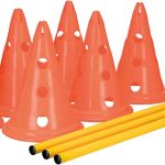 best dog training equipment