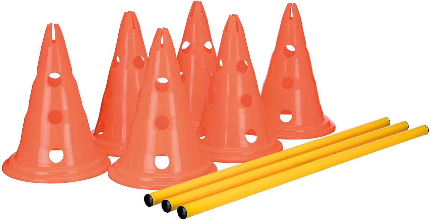 best dog training equipment